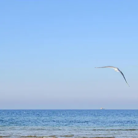 Appartement Lovely In