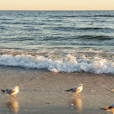 Appartement Lovely In Jezierzany