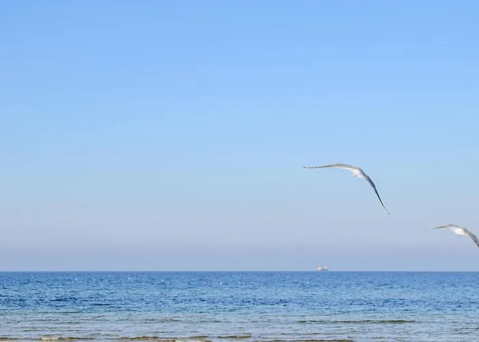 Apartamento Lovely In